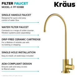 Pull-Down Kitchen Faucet and Water Filter Faucet Combo in Brushed Brass