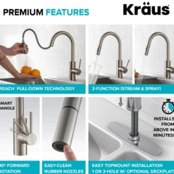 Pull-Down Kitchen Faucet and Water Filter Faucet Combo in Spot Free Stainless Steel