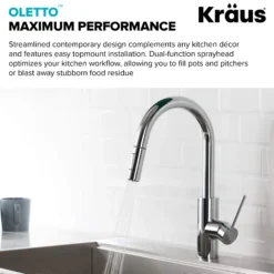 Pull-Down Kitchen Faucet and Water Filter Faucet Combo in Chrome