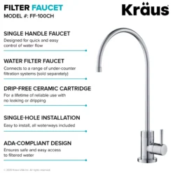 Pull-Down Kitchen Faucet and Water Filter Faucet Combo in Chrome