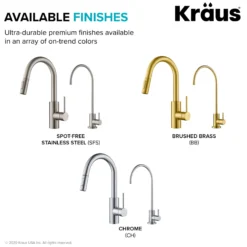 Pull-Down Kitchen Faucet and Water Filter Faucet Combo in Chrome