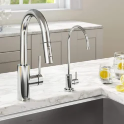 Pull-Down Kitchen Faucet and Water Filter Faucet Combo in Chrome