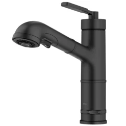 Pull-Out Single Handle Kitchen Faucet in Matte Black