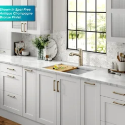 Pull-Out Single Handle Kitchen Faucet in Spot-Free Stainless Steel