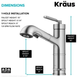 Pull-Out Single Handle Kitchen Faucet in Spot-Free Stainless Steel