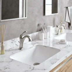 Single Handle Basin Bathroom Faucet with Lift Rod Drain and Deck Plate in Spot Free Stainless Steel