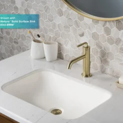 Single Handle Basin Bathroom Faucet with Lift Rod Drain in Brushed Gold (2-Pack)