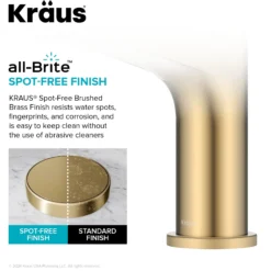 Single Handle Bathroom Faucet in Spot-Free Brushed Brass with Pop Up Drain and Supply Lines
