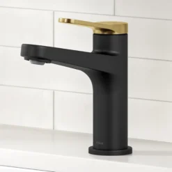 Single Handle Bathroom Faucet in Spot-Free Brushed Brass / Matte Black with Pop Up Drain and Supply Lines