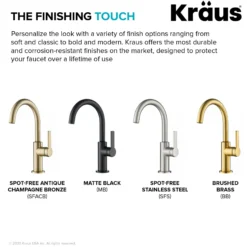Single Handle Kitchen Bar Faucet in Brushed Brass