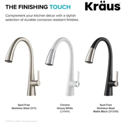 Single Handle Pull-Down Kitchen Faucet in Spot Free Stainless Steel