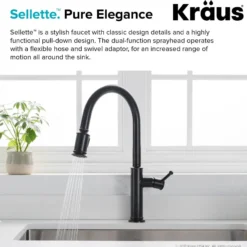 Single Handle Pull Down Kitchen Faucet with Deck Plate and Soap Dispenser in Oil Rubbed Bronze