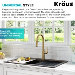 Single Handle Pull Down Kitchen Faucet in Spot-Free Brushed Brass