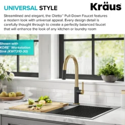 Single Handle Pull Down Kitchen Faucet in Spot-Free Brushed Brass / Matte Black