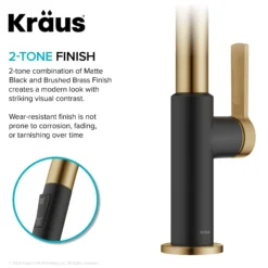 Single Handle Pull Down Kitchen Faucet in Spot-Free Brushed Brass / Matte Black