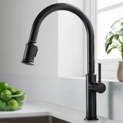 Single Handle Pull-Down Kitchen Faucet in Oil Rubbed Bronze