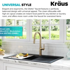 Single Handle Pull Down Kitchen Faucet in Spot Free Antique Champagne Bronze