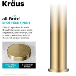 Single Handle Vessel Bathroom Faucet in Spot-Free Brushed Brass with Pop Up Drain and Supply Lines