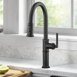 Traditional Industrial Pull-Down Single Handle Kitchen Faucet in Matte Black