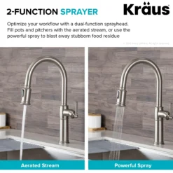 Traditional Single Handle Pull-Down Kitchen Faucet in Spot Free Stainless Steel