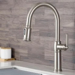 Traditional Single Handle Pull-Down Kitchen Faucet in Spot Free Stainless Steel