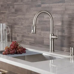 Traditional Single Handle Pull-Down Kitchen Faucet in Spot Free Stainless Steel
