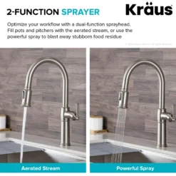 Traditional Single Handle Pull-Down Kitchen Faucet with Soap Dispenser and Deck Plate in Spot Free Stainless Steel