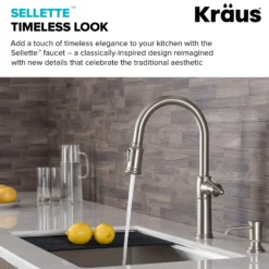 Traditional Single Handle Pull-Down Kitchen Faucet with Soap Dispenser and Deck Plate in Spot Free Stainless Steel