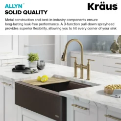 Transitional Bridge Kitchen Faucet and Water Filter Faucet Combo in Brushed Gold
