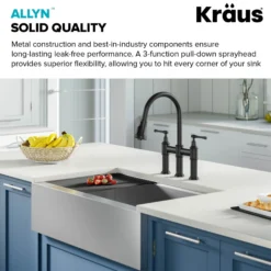 Transitional Bridge Kitchen Faucet and Water Filter Faucet Combo in Matte Black