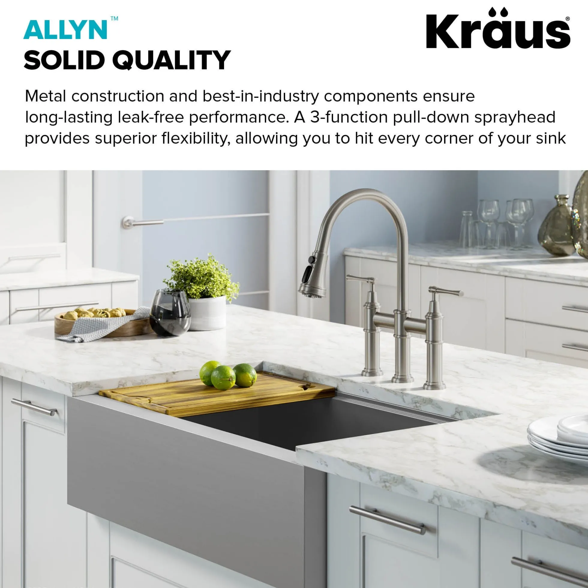 Transitional Bridge Kitchen Faucet and Water Filter Faucet Combo in Spot Free Stainless Steel