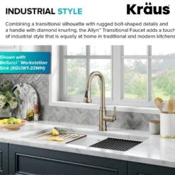 Transitional Industrial Pull-Down Single Handle Kitchen Faucet in Spot-Free Antique Champagne Bronze