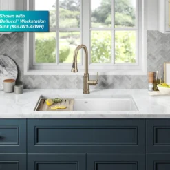 Transitional Industrial Pull-Down Single Handle Kitchen Faucet in Spot-Free Antique Champagne Bronze