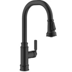 Transitional Industrial Pull-Down Single Handle Kitchen Faucet in Matte Black