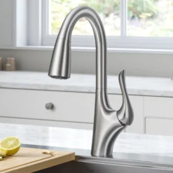 Transitional Single Handle Pull-Down Kitchen Faucet in Spot Free Stainless Steel